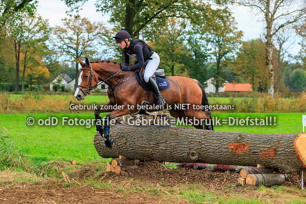 Eventing Diepenheim Paarden M 20-10-24