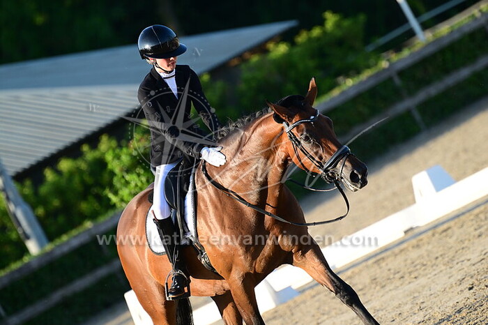 Senna Hofmann - Modansa B