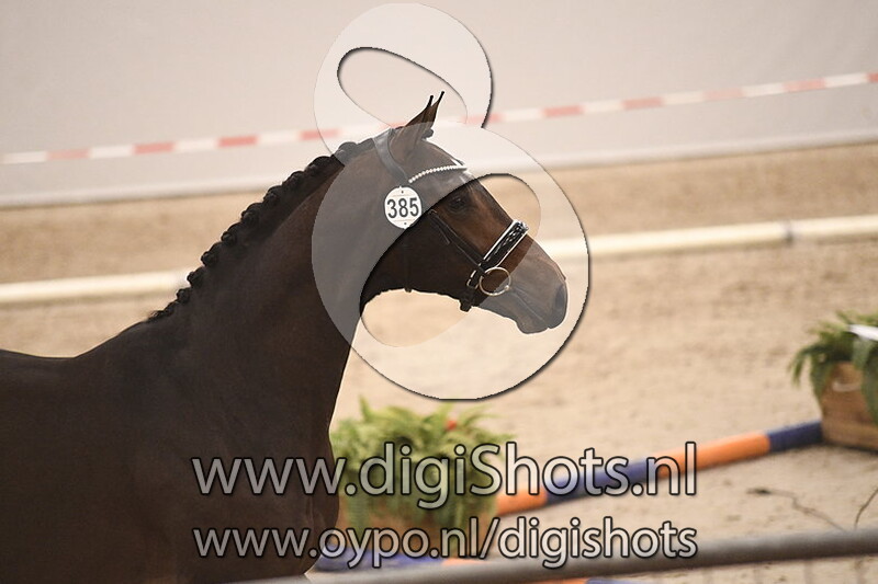 Nitro LE v. Ferdinand