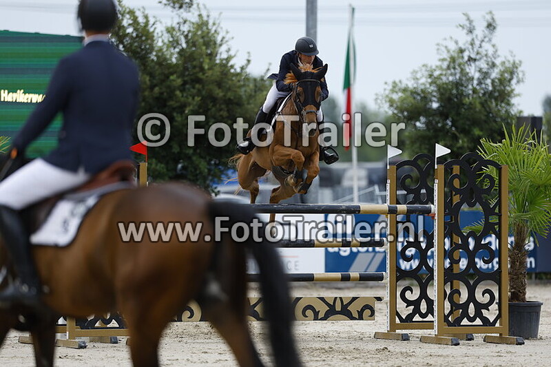 morten alexander djupvik