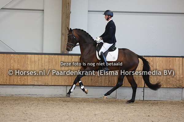 37 Solid Rock (McLaren x Tuschinski)