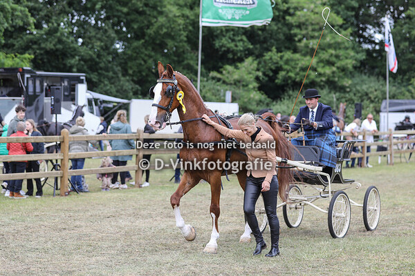 18. Eenspannen Tuigpaarden Ereklasse