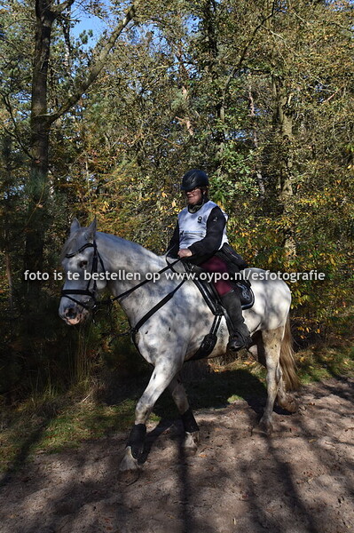 3-11-2024 Coolrunnings Endurance Educatie