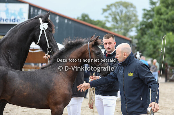 02. Weereld fan de Lage Rielen