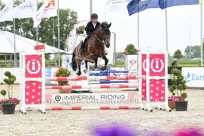 Noelle van der Velde - Memorable DMH