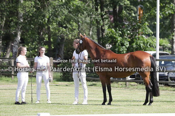 35 Estella (Phin Phin x Atella v. Numero Uno)