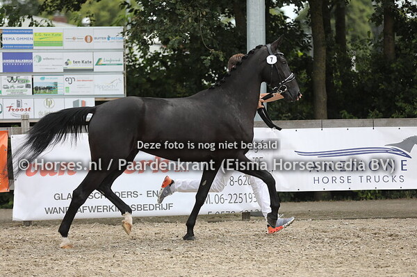 7 Rillieux la Pape STRH