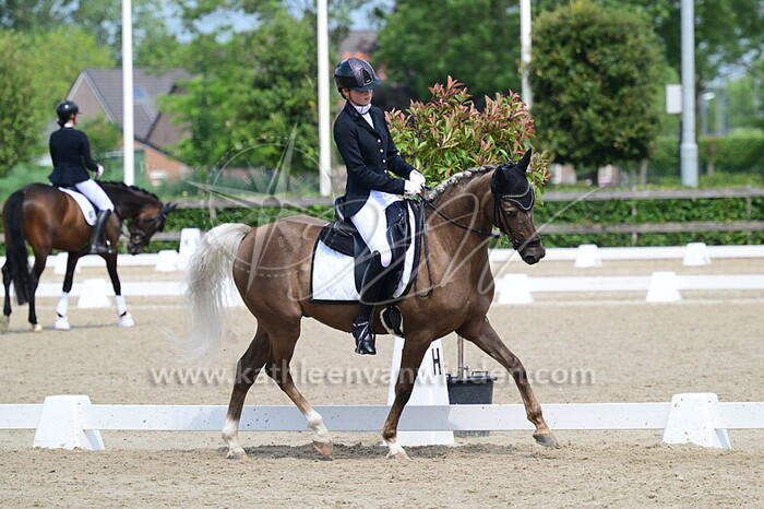 Robye Al Jannabi - Comacho