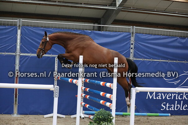 4 Mewaldine v Diamant de Semilly