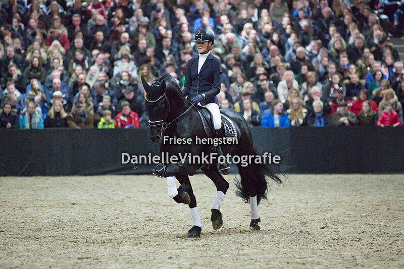 Hengstenshow Lunteren 24-02-2018 Omer 493