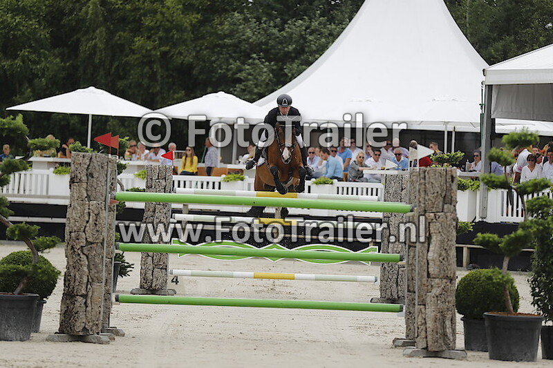 Dennis van den Brink