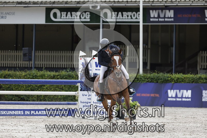 Springen 100 en 110 m ponies