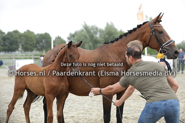 80 Totally Vegas (Las Vegas x Miss Universe v. Franklin) (1)