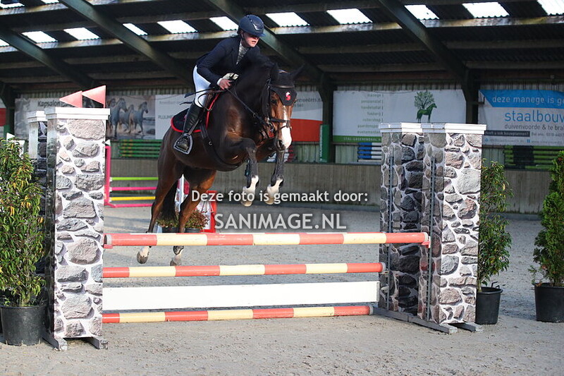 Stal Groenendaal 15-10-2024 Springen Paarden 80/90 cm