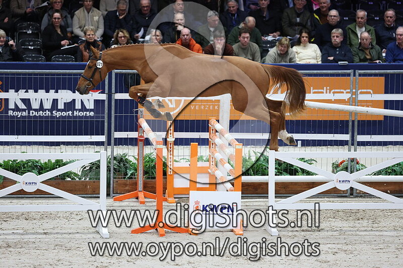 Silent Touch VN v. United Touch S