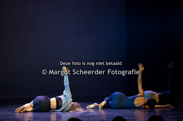 16 Haast_Limon gevorderd