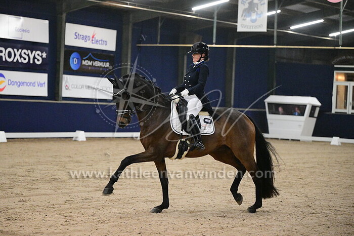 Chantal Nijpjes - Digo