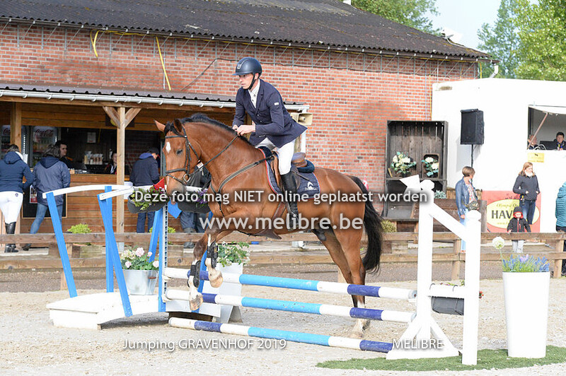 Paarden clear round 60