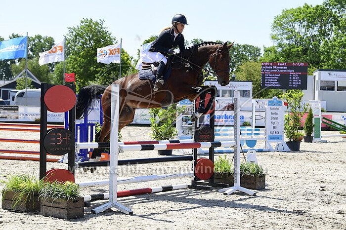 Lucinda Okkerman - O'Chaccoon