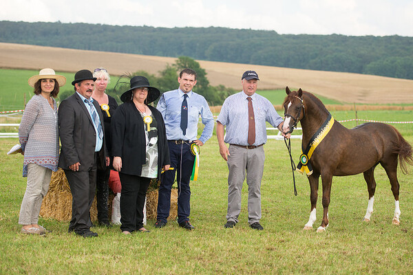 Regionalschau Badem-Wurtemberg