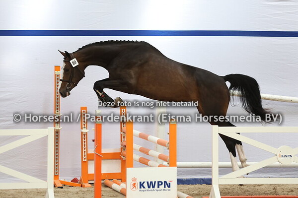 89 Sizora (Newmarket x Tizora v. Haarlem)