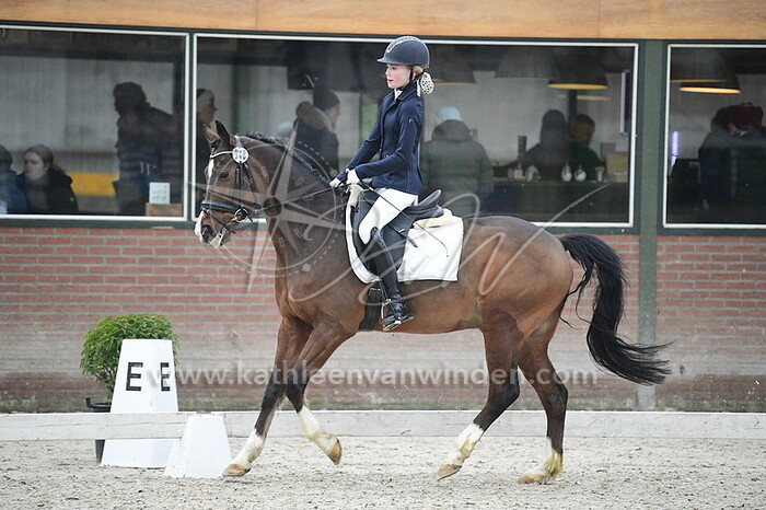 Sam van Houten - Terra Nova Zaire