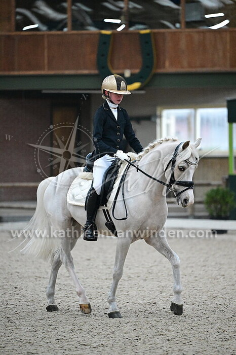 Vivian Goes - Seasalt Phuffin Cottontail