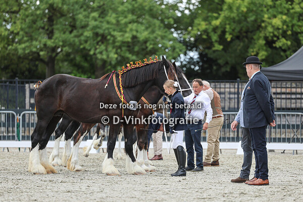 14. Merries met veulen aan de voet