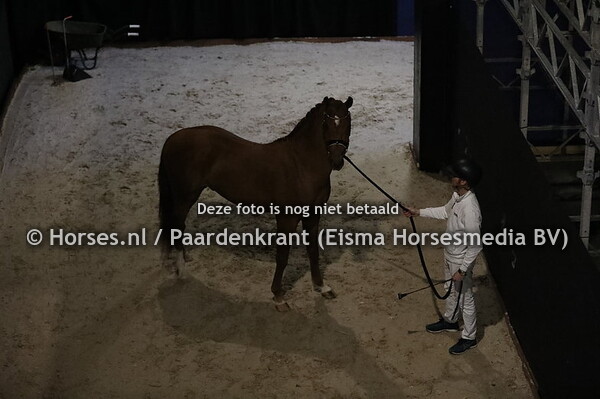 Sfeer huldigingen anders