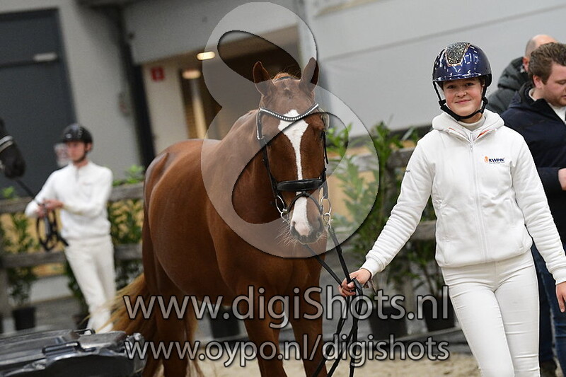 Rhythm And Blue v. Totilas - 528