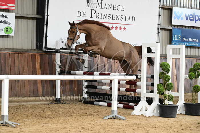 Girlpower DK - nr. 36