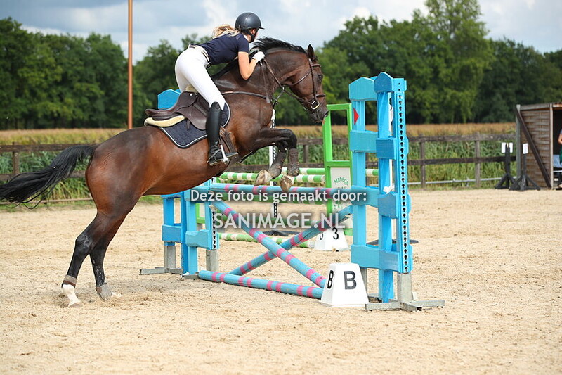 Manege Groenewoude springen 31-08-2025 Paarden 90/100 cm
