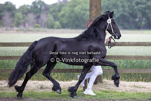 15. Unyke fan de Slachtedyk