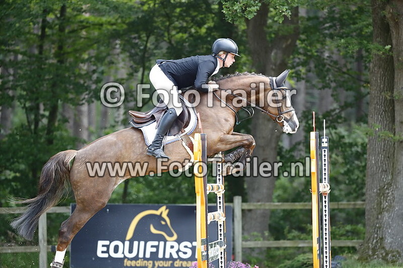 dennis van den brink