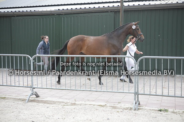 108 Mystery (Indian Rocj x Evita v. Westpoint)