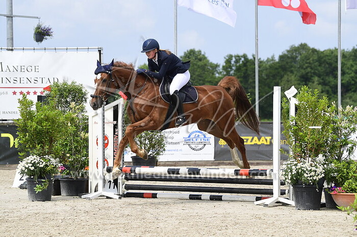 Sophie Mechelor - Napier