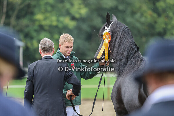 9. Premiekeuring van 7 jr e.o. stermerries