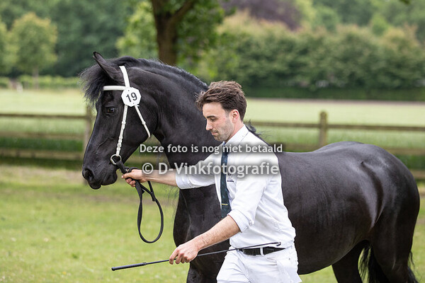 19. Katoo fan Rijck's Pleats