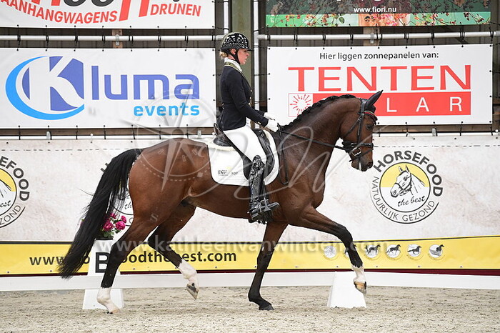 Krista Kolijn - Orlando