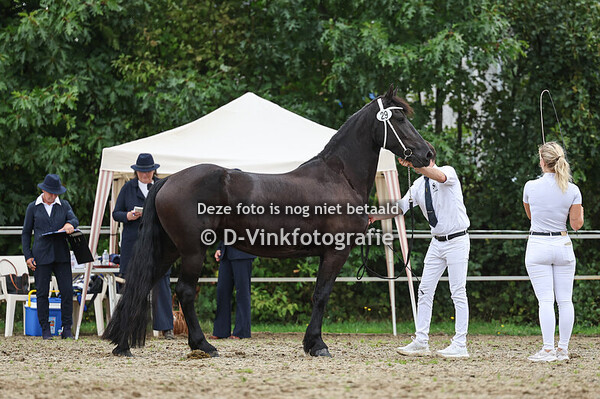 29. Quinty Cordes de Mendoza