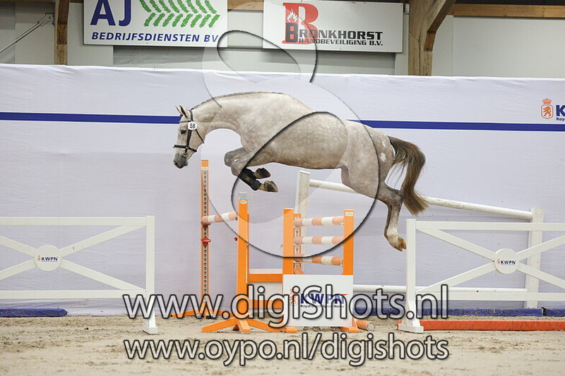 Detroit van de Hagenhorst