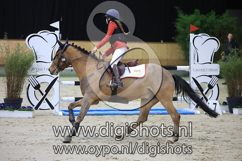 Stoutens Winning Mood