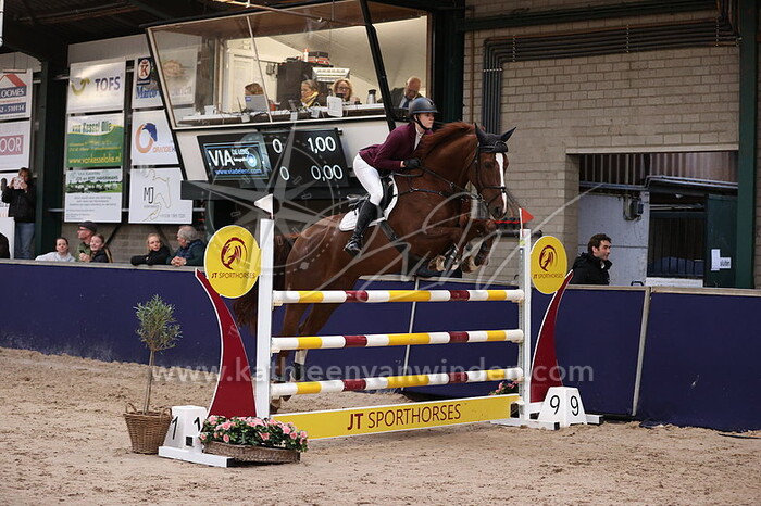 Rebecca Hellemons - Mallory R Z