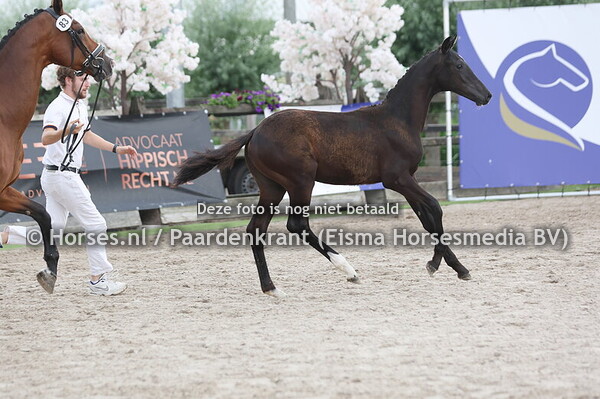 83 Victoria S (So Perfect x Ellia v. Gribaldi)