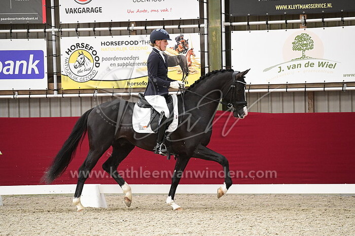 Floor van Kempen - Pomerol