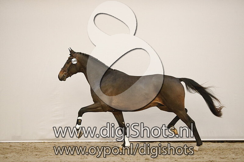 Massimo v. Glocks Toto Jr