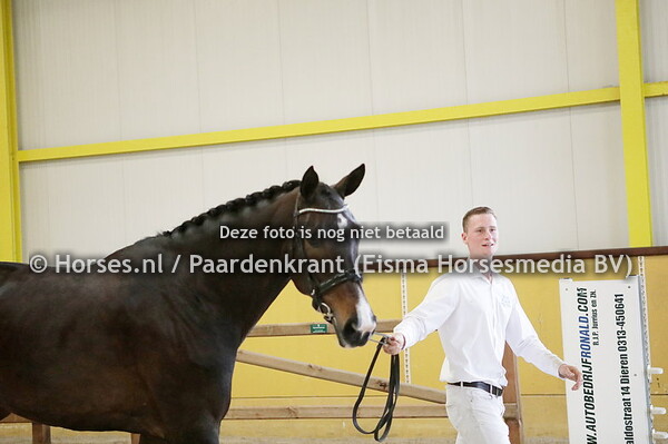10 Kwadraat (Lord Leatherdale x Ultimaat v. Negro)