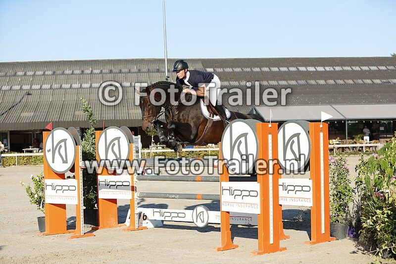 dennis van den brink