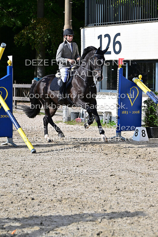 16 Paarden 90 cm - rijstijl zonder barrage