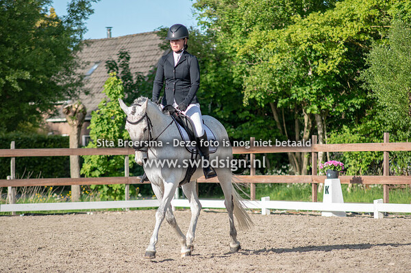 selectie klasse B paarden